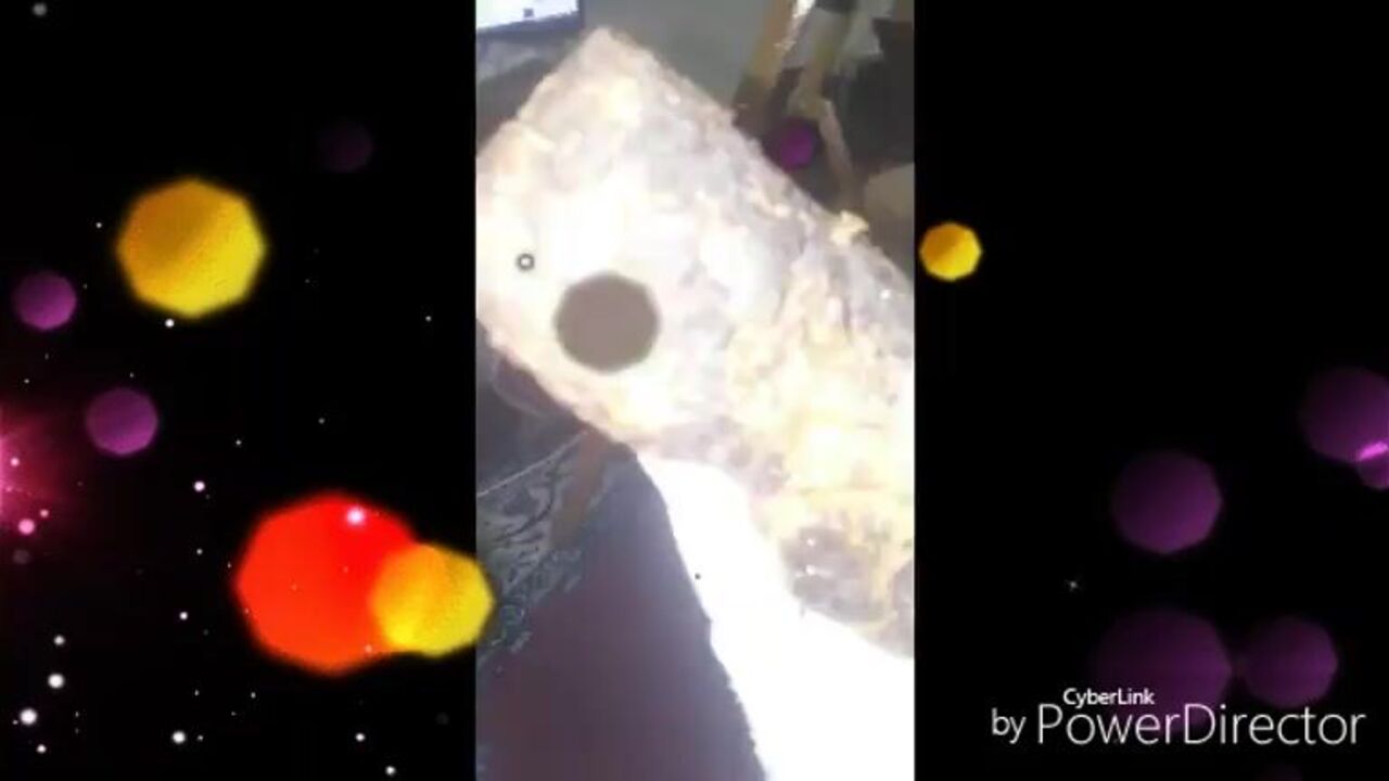 Kaviar and scatqueenleila get down and dirty with each other's pussies