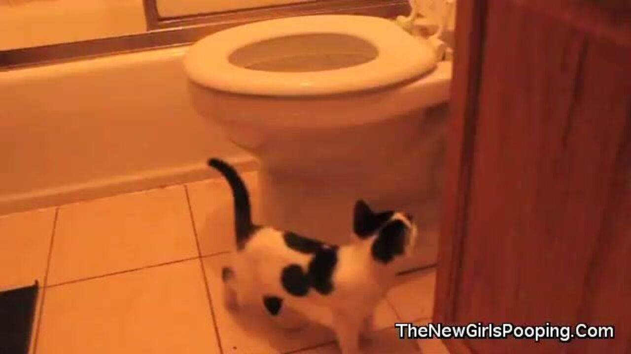 Watch these scat women get off on pooped and scatting in this hilarious video