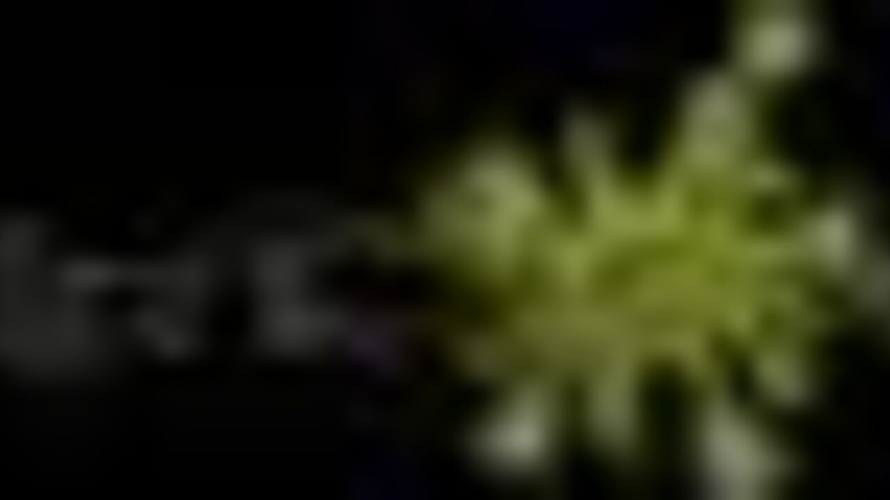 Watch this kinky slut get off on scatting and pooping in this dirty porn video