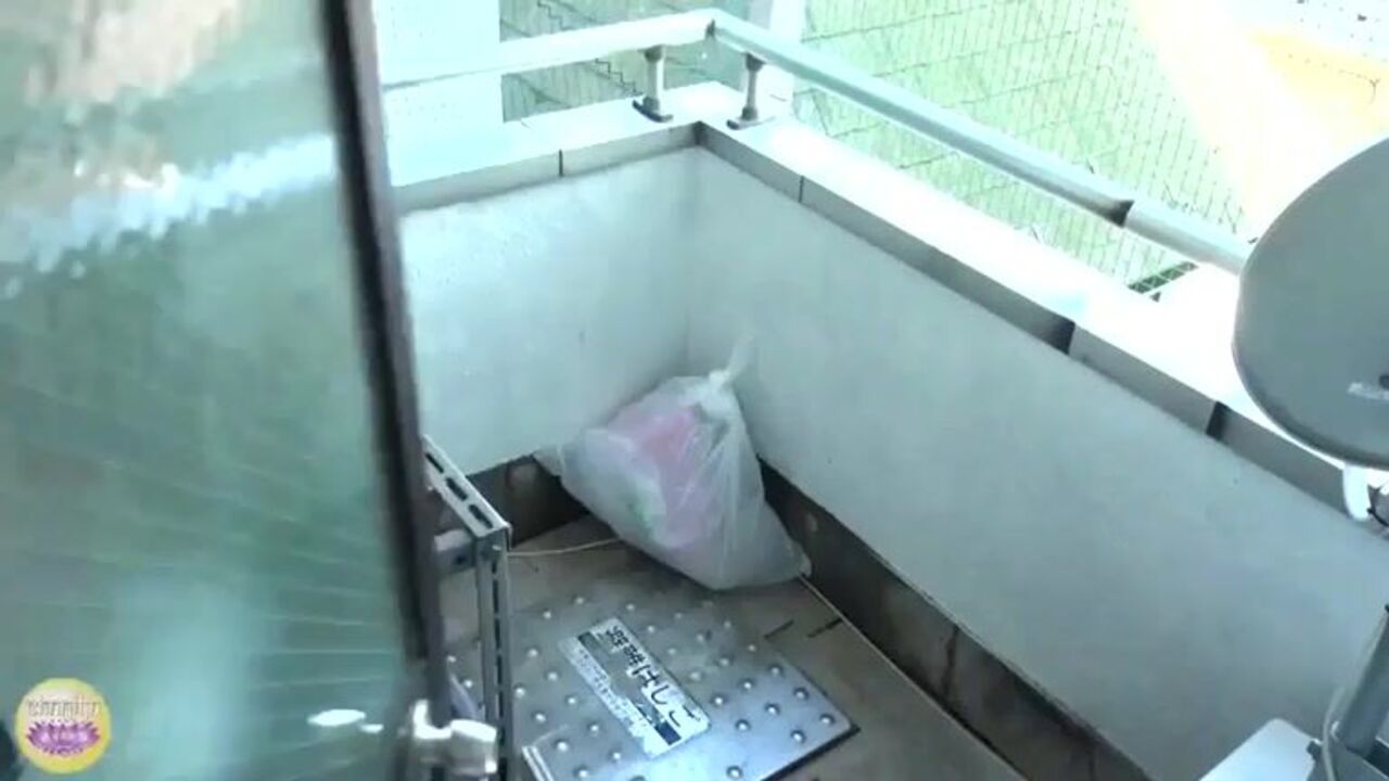 Watch as this filthy slut gets her scat stuffed with a big dick