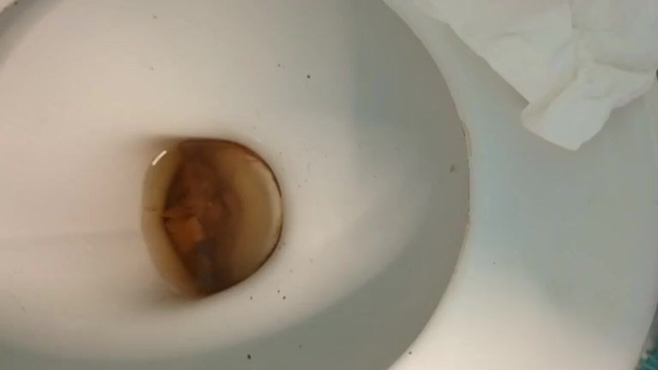 Watch these filthy sluts scat and get off on their own in this scat porn video