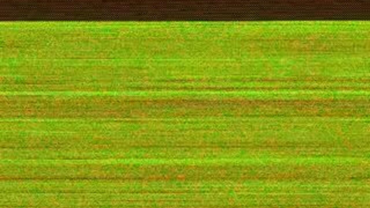 Watch this dirty Asian street whore get her scat pounded in a wild scat video