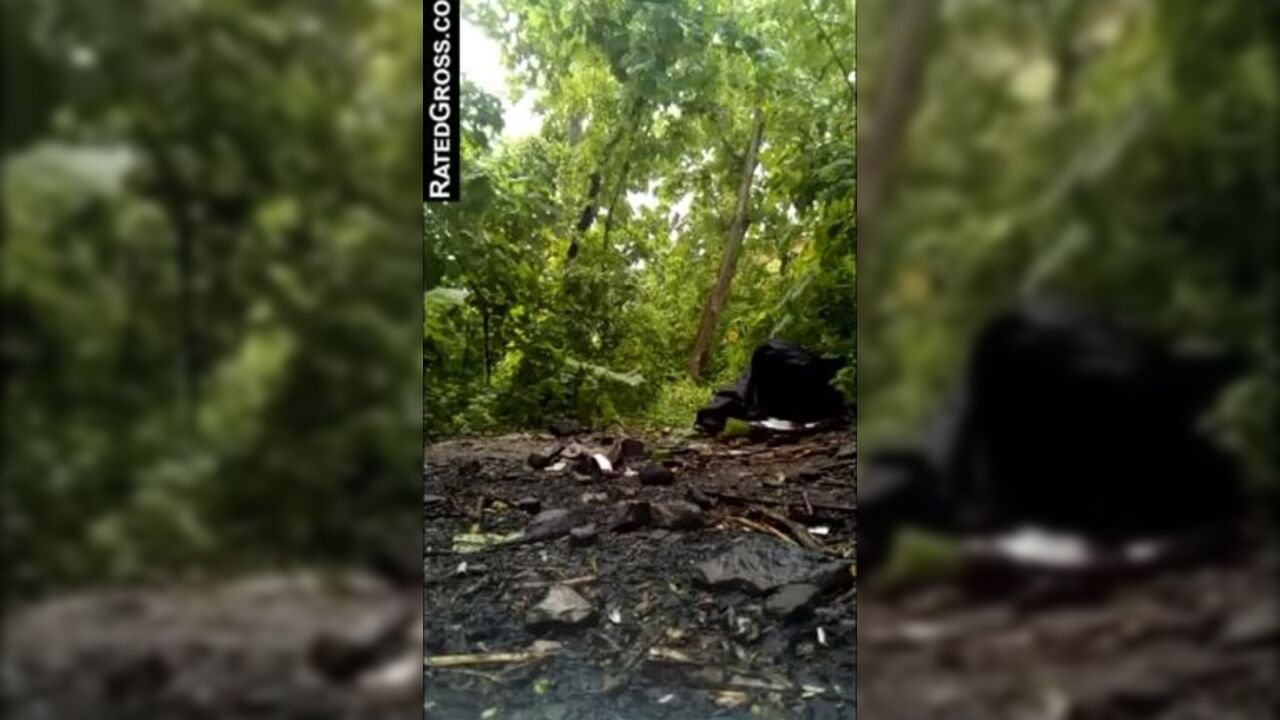 Watch this filthy slut scat in the woods