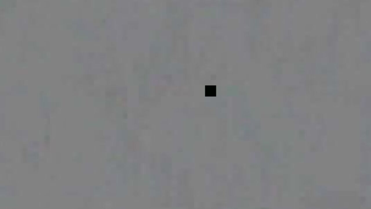 Watch these kinky scats get wild in this wild scat video