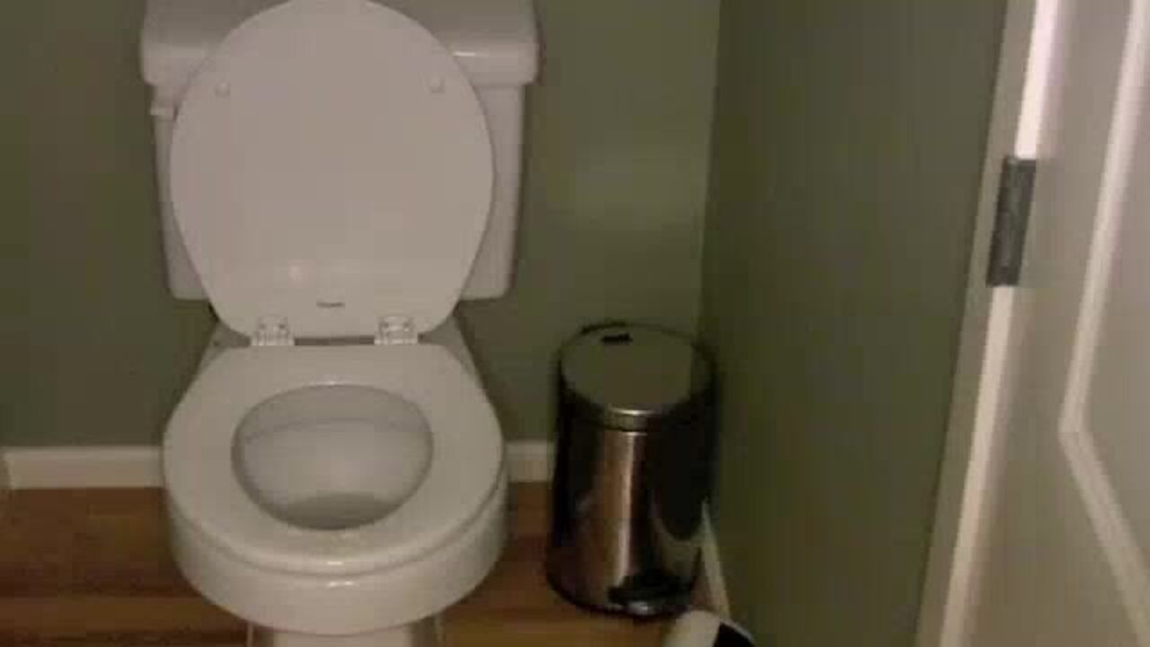 Carmen's Poop Pov: The ultimate scat porn video