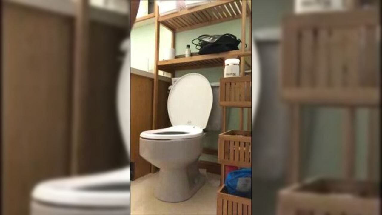 Watch this kinky slut get down and dirty in her scat video