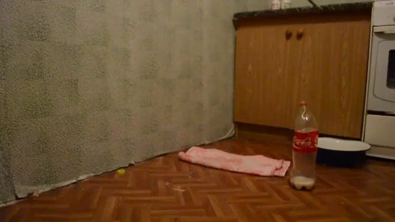 Watch this hot and horny slave get her scat filled with milk and enema