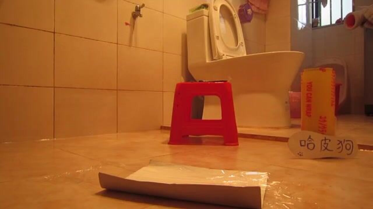 Sexy Poop_46: A Chinese girl's scat collection with a twist