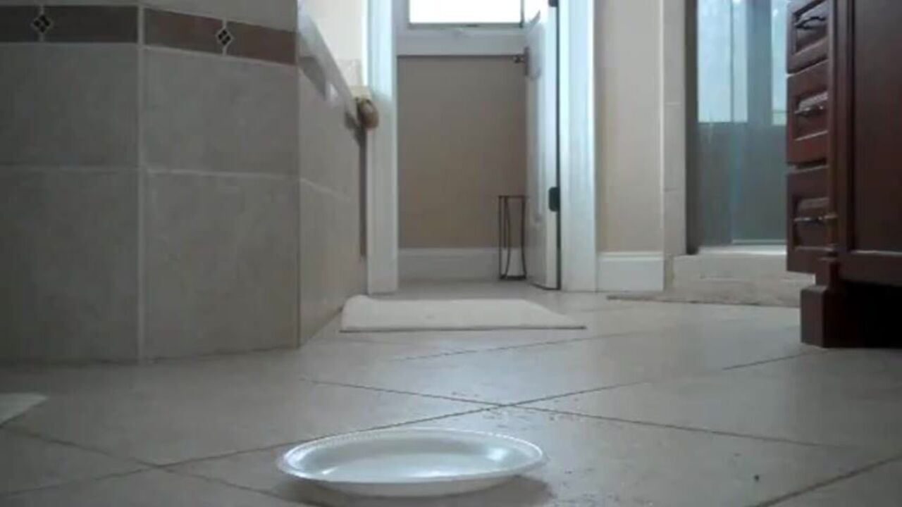 Get ready to cook a juicy, mud-filled pooped out yourself