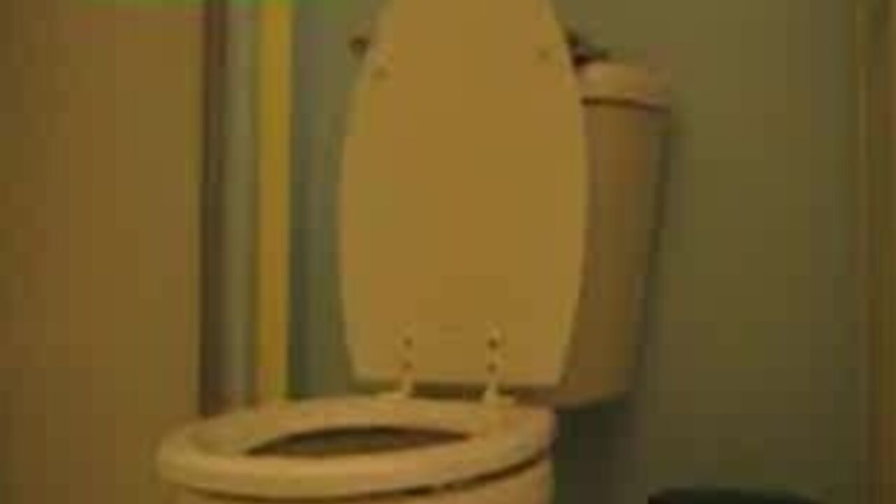 Get ready for some hardcore scat porn with this kinky slut in T12 clip