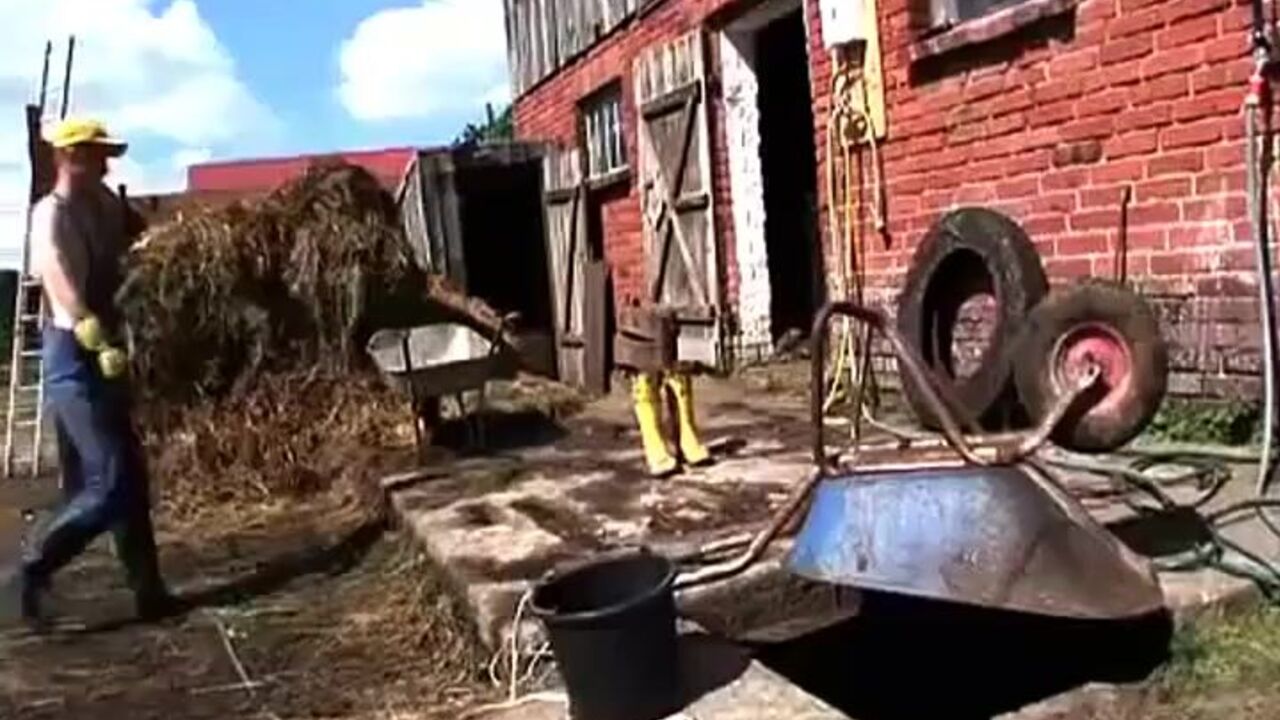 Watch as scat porn goes wild in the bog with hot dudes getting down and dirty