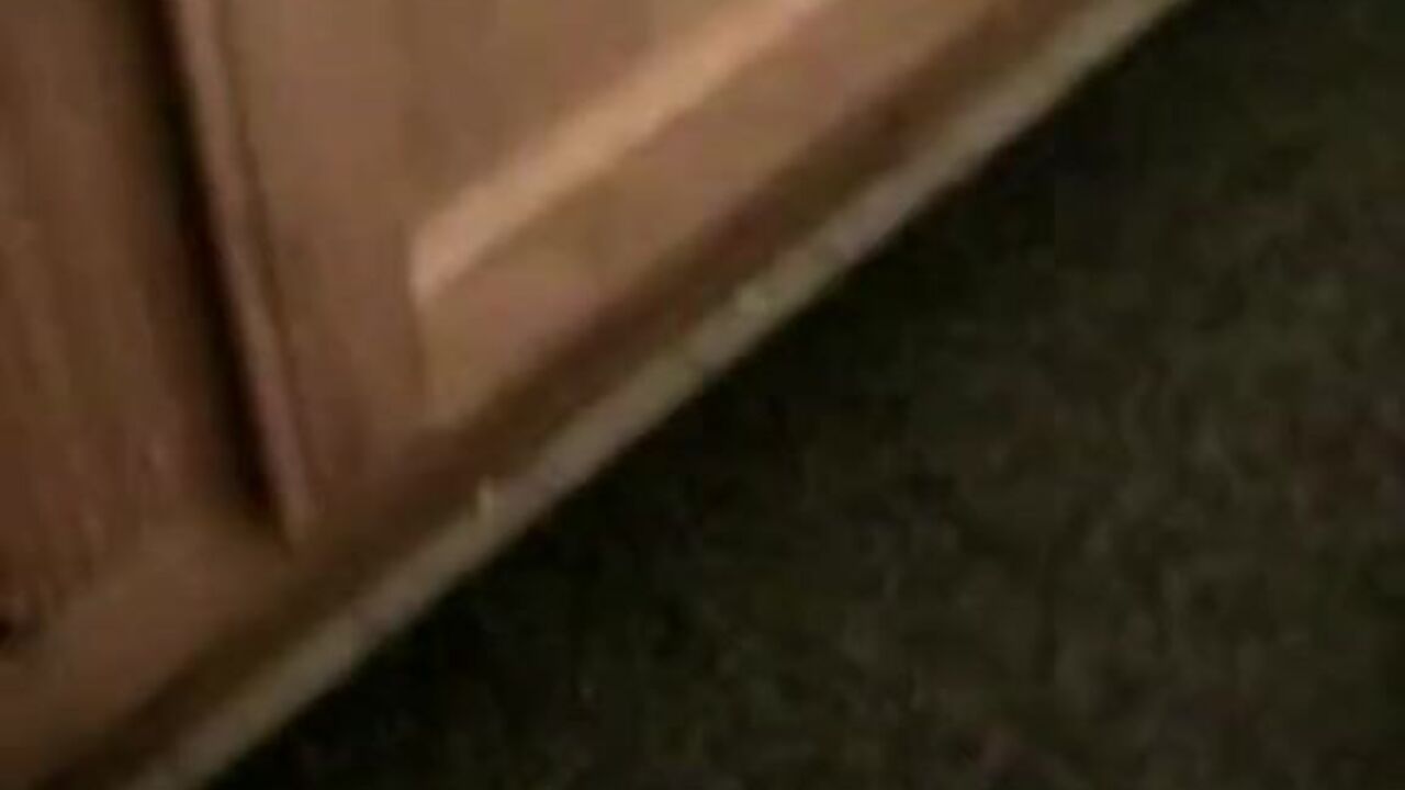 Watch this crazy teen slave devour her own filth in the bathroom