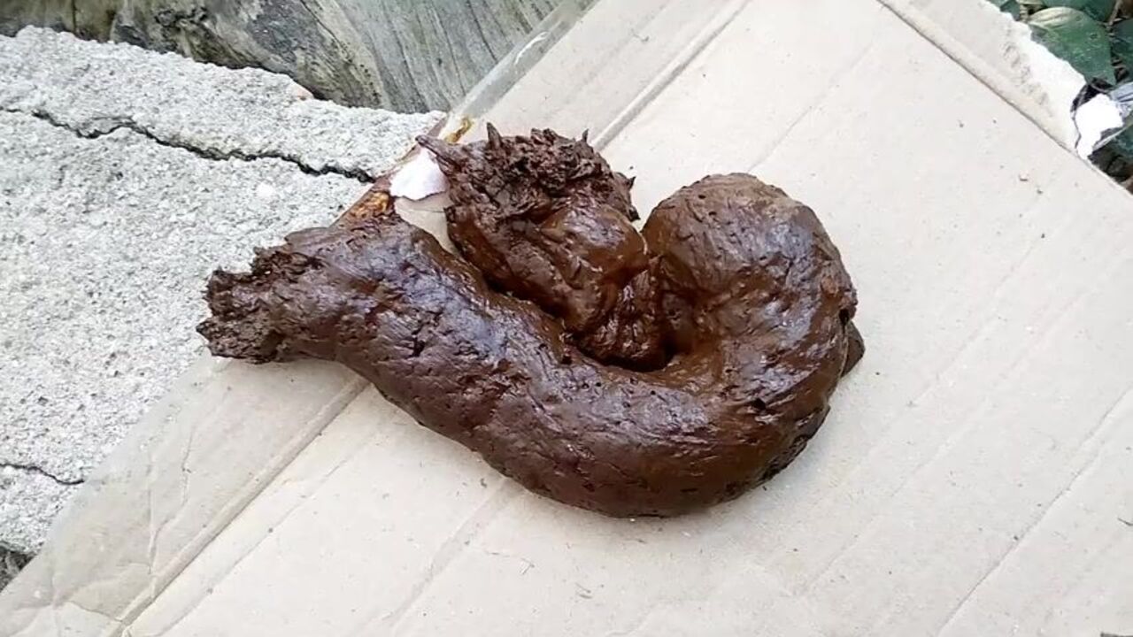 Watch me enjoy scat outside while the flies enjoy my filthy hobby