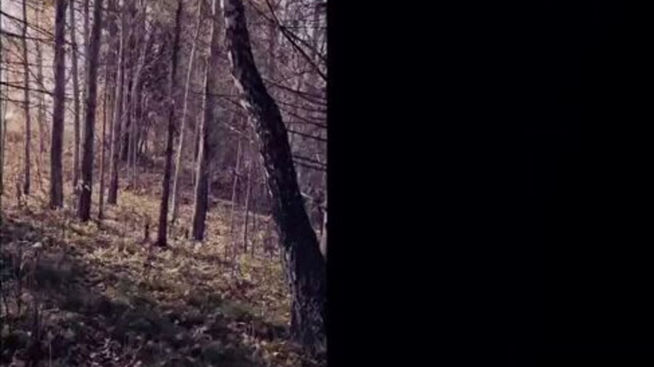 Watch scat porn videos featuring Lina, the scat porn queen