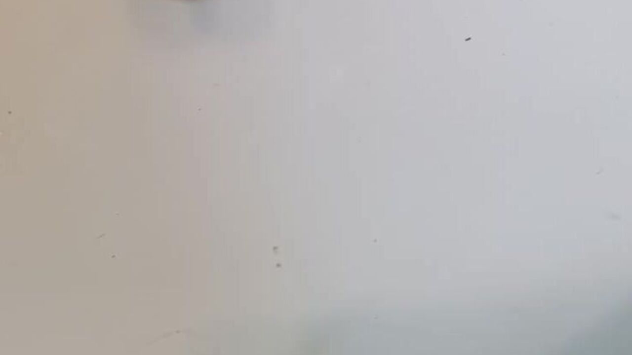 Kinky Scat Piss Drinking and Eliciting in Cincinnati