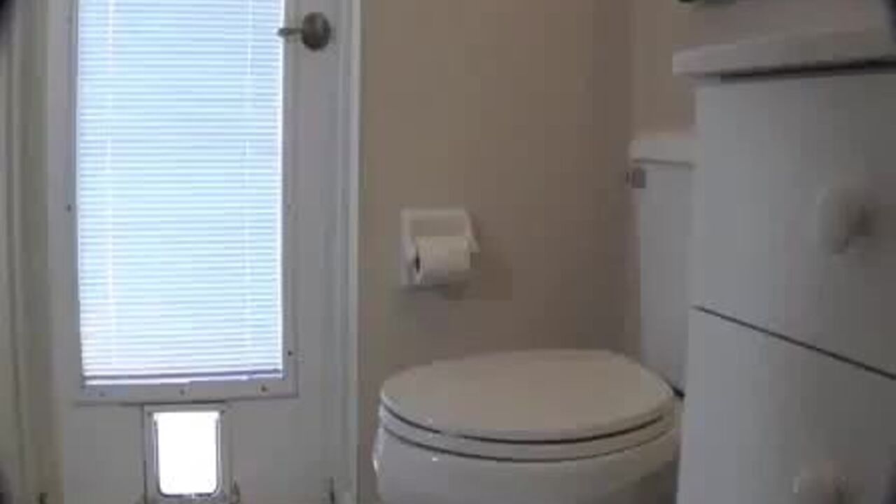 Kelly Teal gets off on scatting & dirty sex