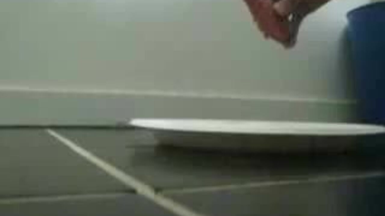 Watch this big ebony slut take a wild ride in her scat pov video