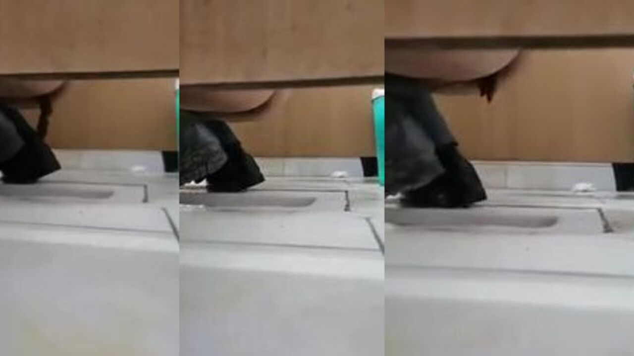 Watch as a voyeuristic guy squats in front of the toilet and takes a load of his own