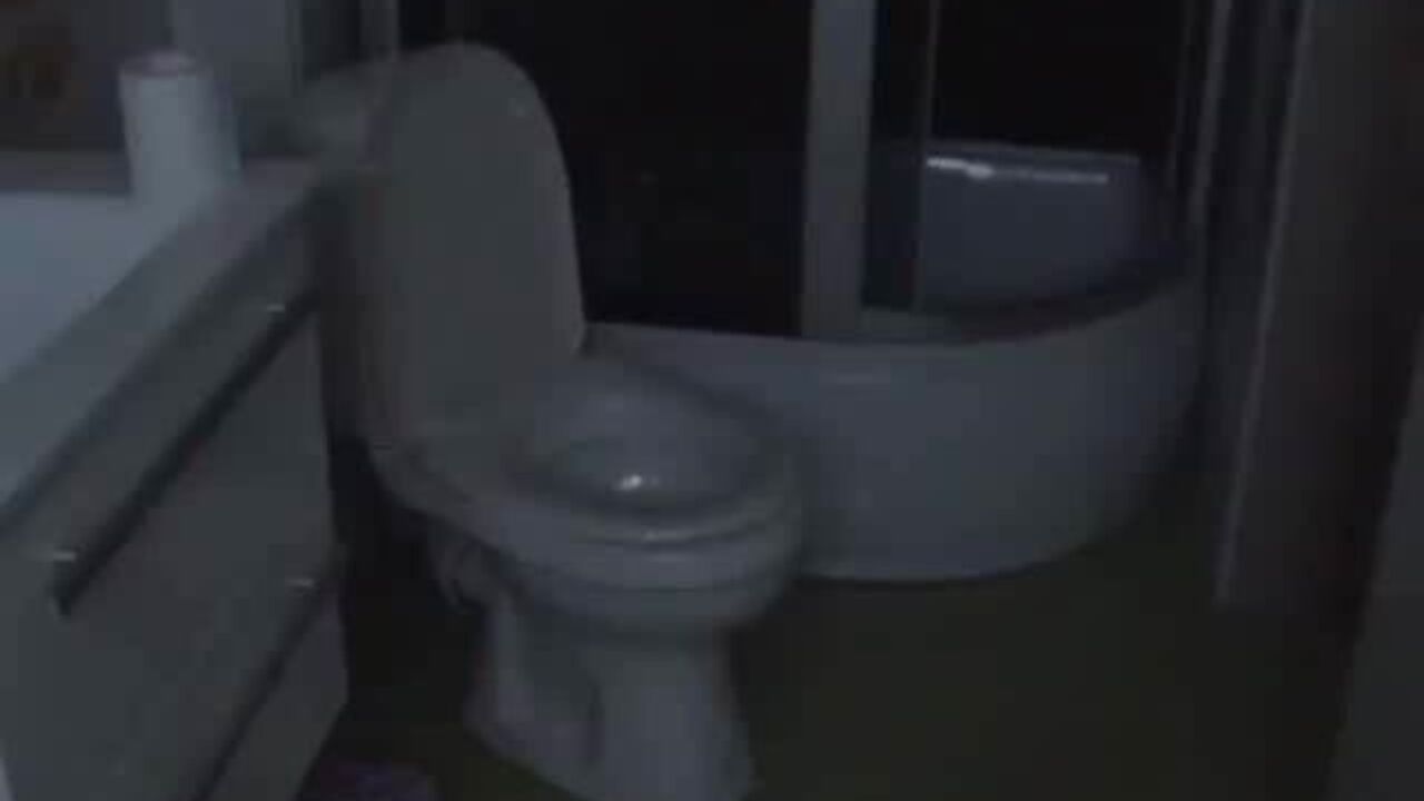 Watch these filthy sluts scat and get off with toilet sex