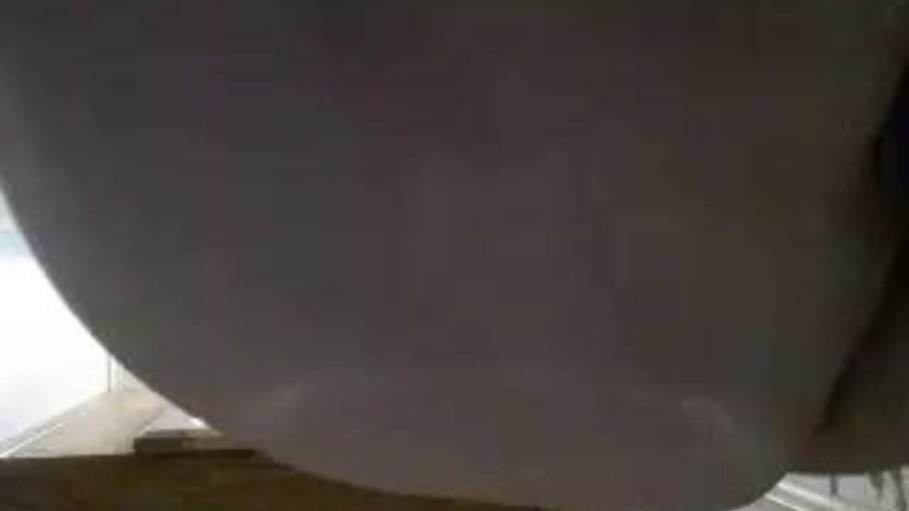 Watch these filthy scats get drilled in POV