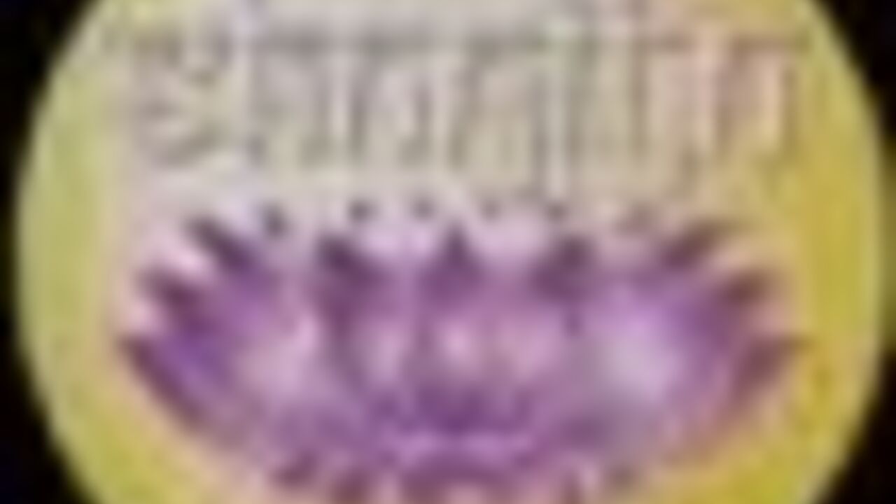 Watch this dirty slut get sprayed with her own jizz in this filthy scat video