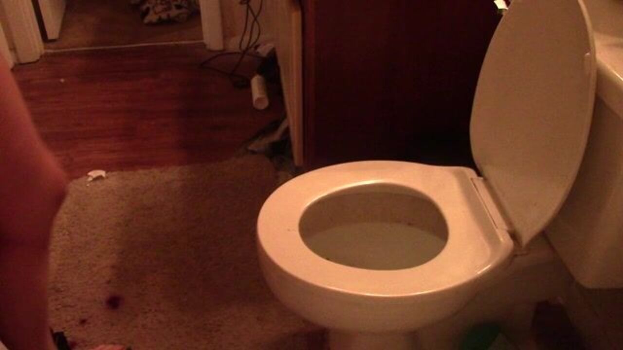 Get off to the hottest scat porn videos with daily newbies