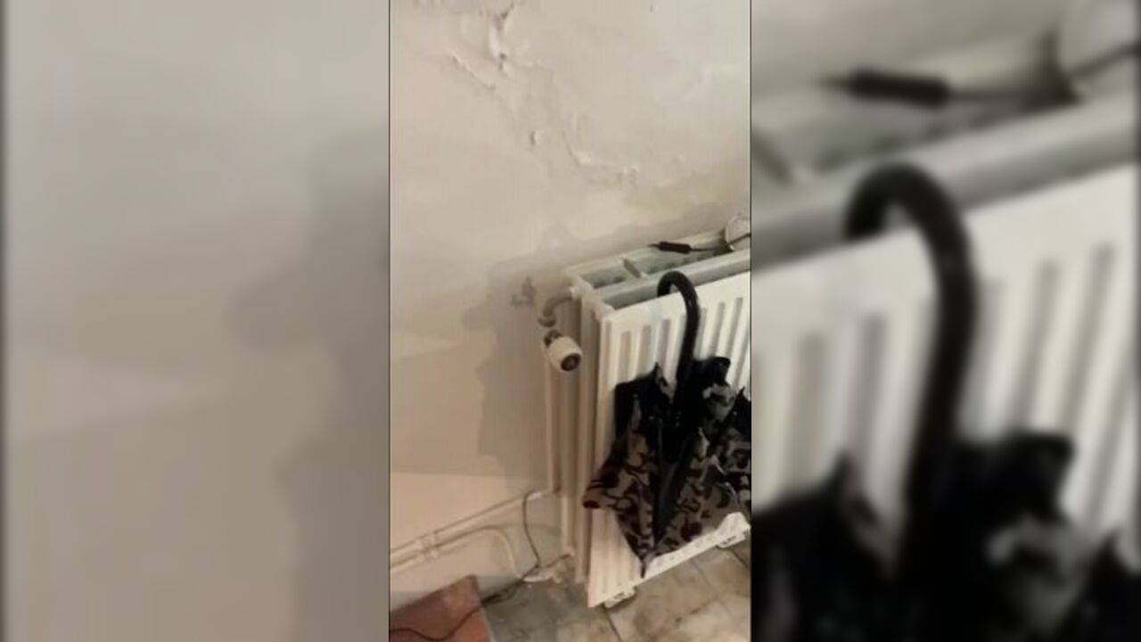 Annoying black chicks take a hard pounding in this scat porn video