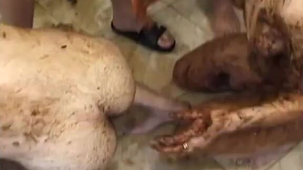 Watch this slutty woman stuff her scat with a faceful of it