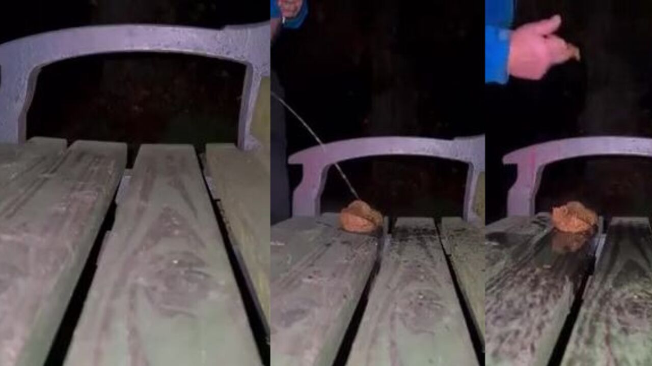 Watch this guy get off on peeing on a public bench and shitting on himself