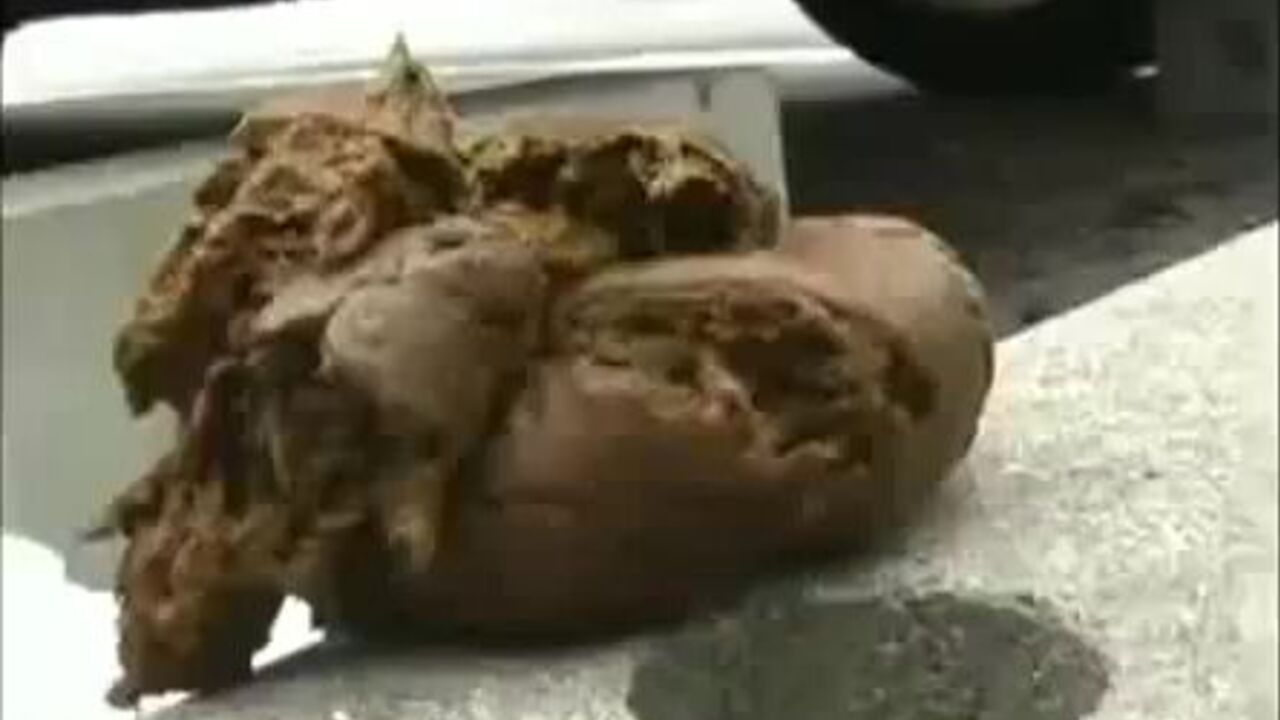 Watch these wild Asian women get their scat wet and wild in the great outdoors