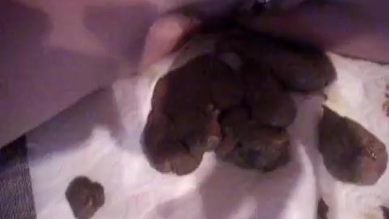 Watch this amateur slut masturbate while webcam chat with her scat buddies