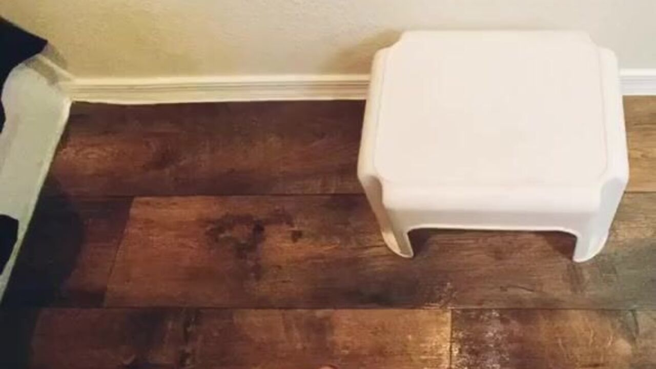 Young dsg slut gets a hardcore scat pounding from her daddy!