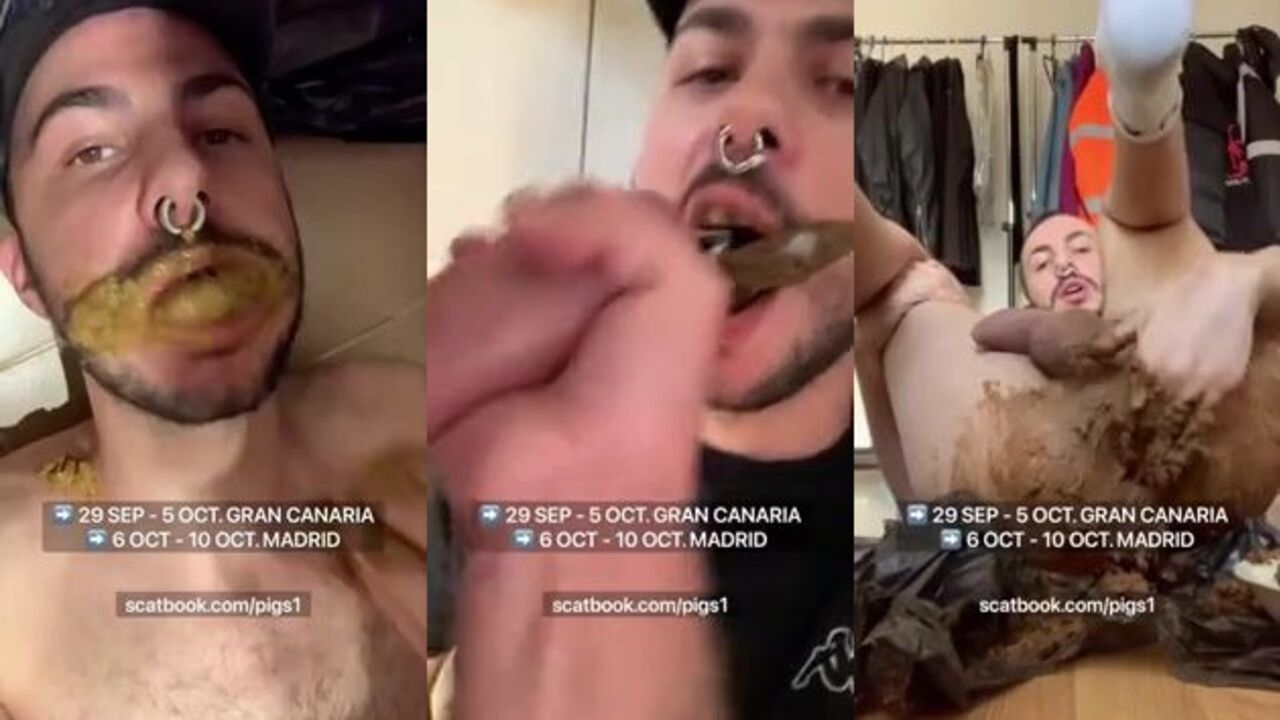 A Holiday Treat: Compilation of Eats, Shits, Poops, and More!