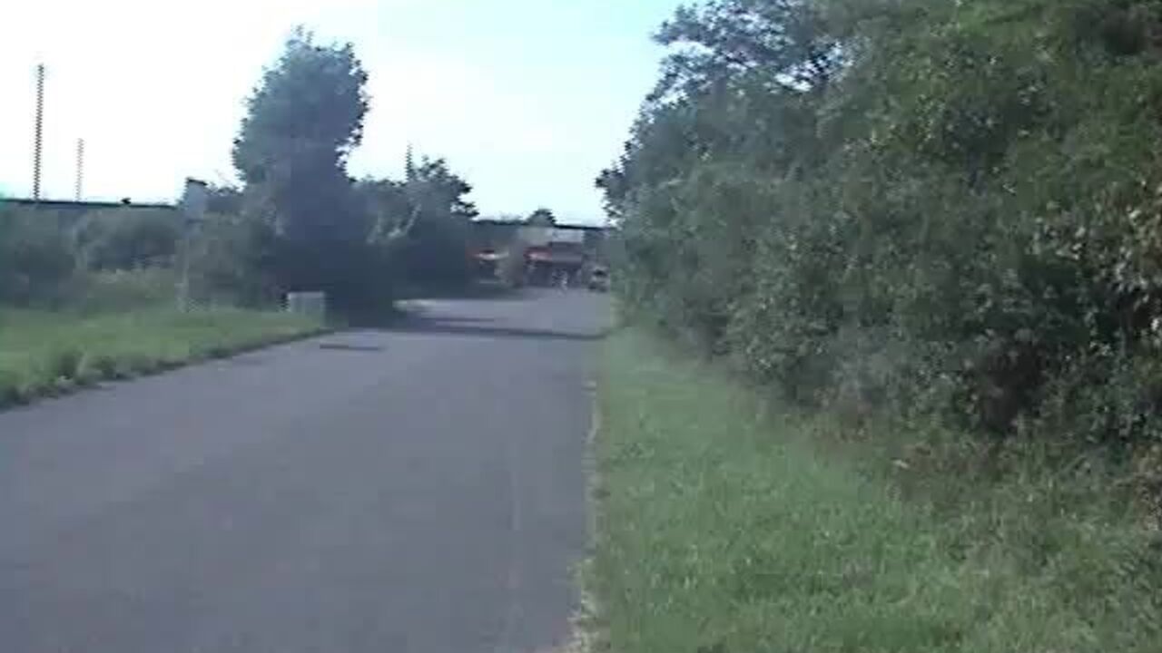 Watch this filthy scat porn video featuring natural-scat women getting their pussies drilled