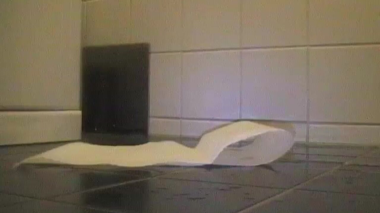 Watch this scatty slut pee & poop on a tiled floor in this steamy scat video