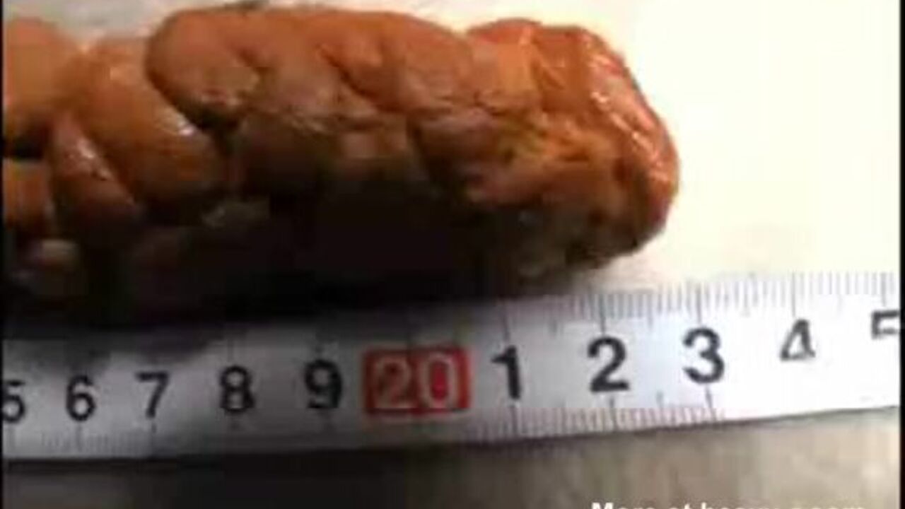 Kinky Cute Girl Eats and Kisses her Scat Slave for Your Pleasure