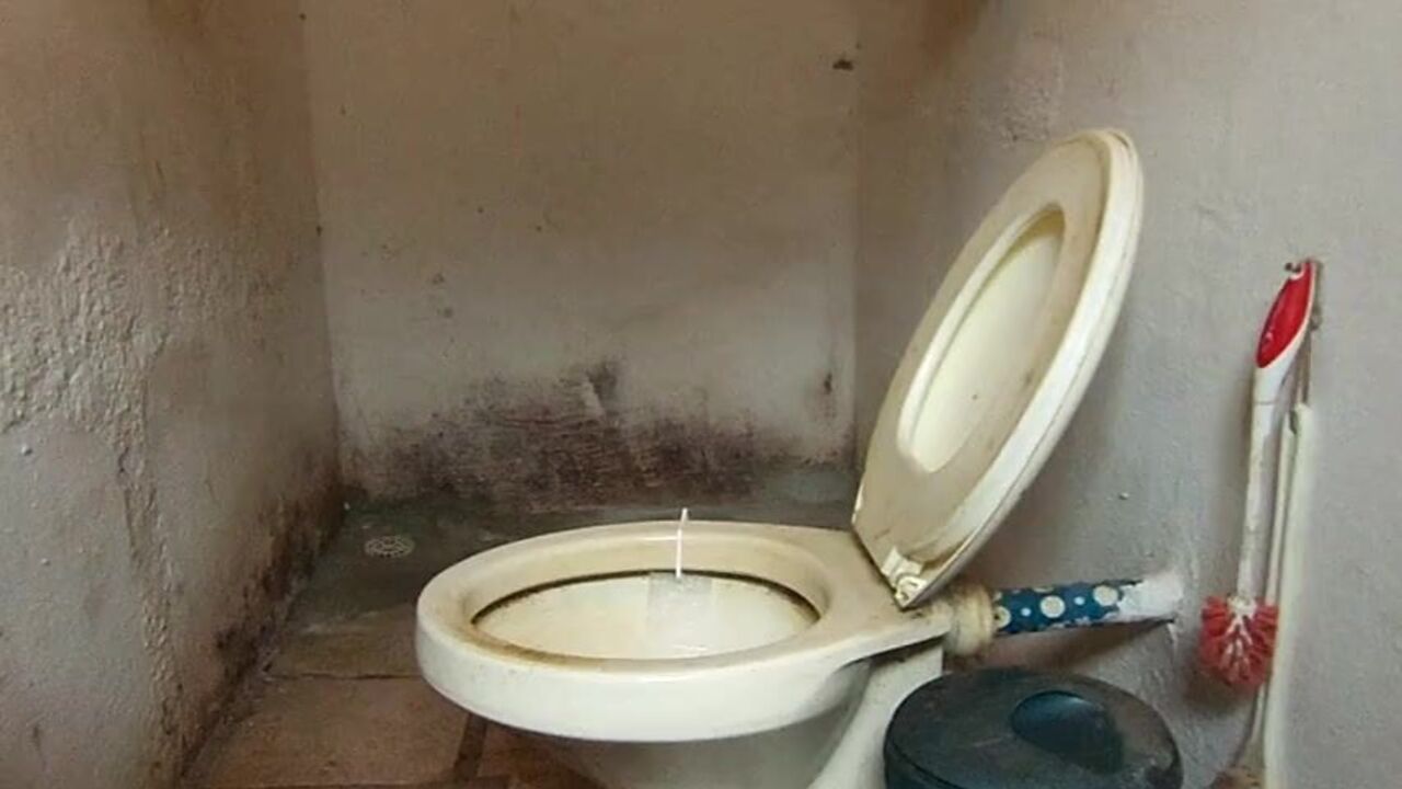 Watch Meu's fetiche Scat Pela Manha - the ultimate fetish porn