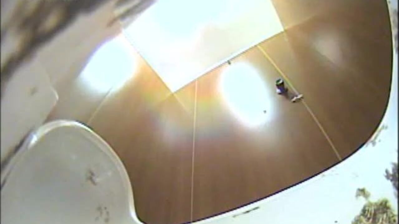 Watch this kinky slut take a huge load after her filthy scat session