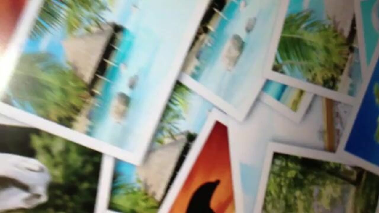 Watch this scatty slut get down and dirty in a wild scat video