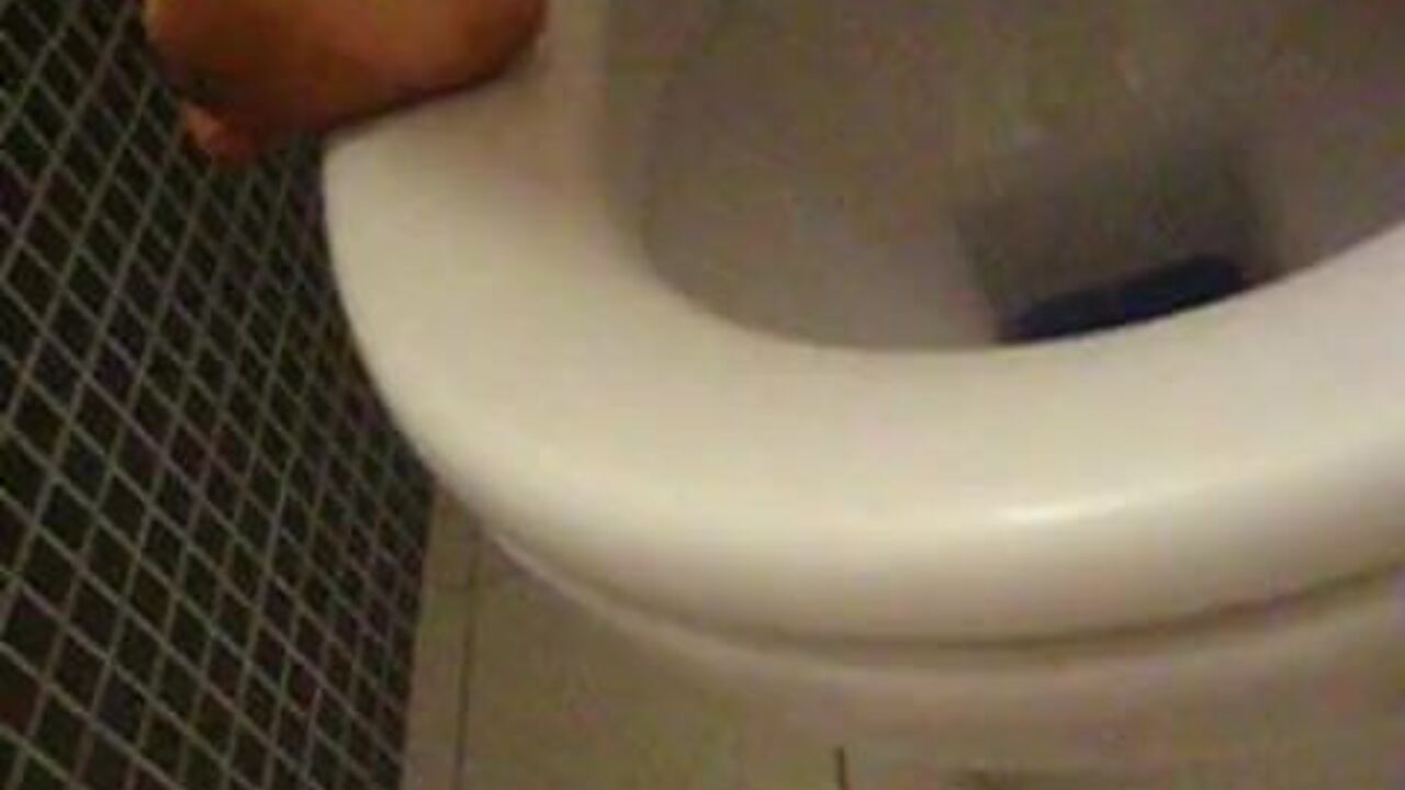 Watch these filthy scat videos with scat girls and scatporn babes