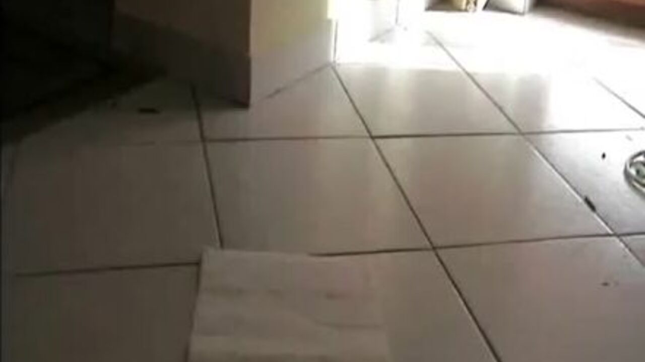 Watch this pretty amateur chick get her scat on toilet paper - Scat Video Collection