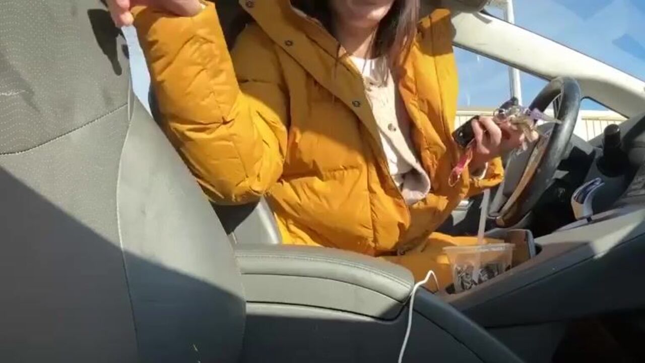 Watch this kinky scat video of a hot and horny female getting her pussy drilled in a car