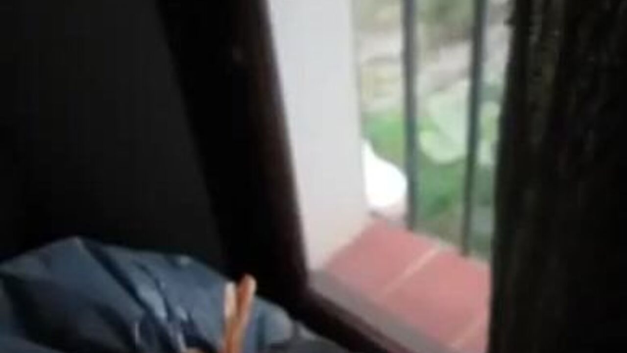 Watch this dirty video of a scatty babe getting her shitter off in the window