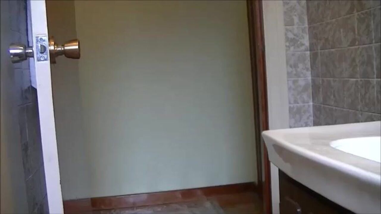 Watch this scat slave get pushed out a huge load of scat