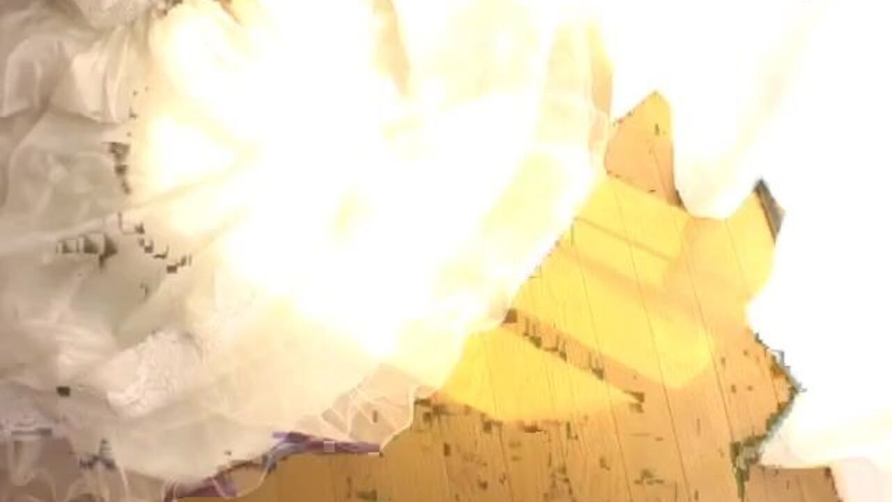 Japanese wedding bride's steamy scat facial will make you drool!