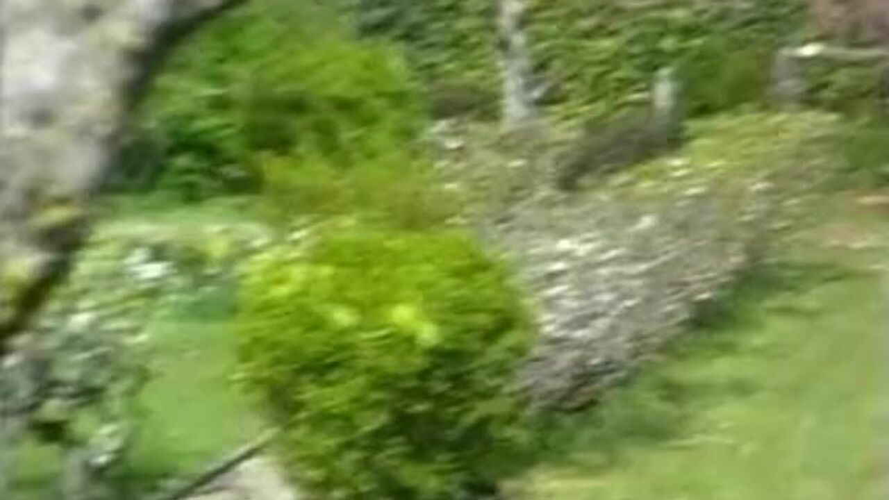 Get off to your filthy lesbian slave as she gets scat on her own