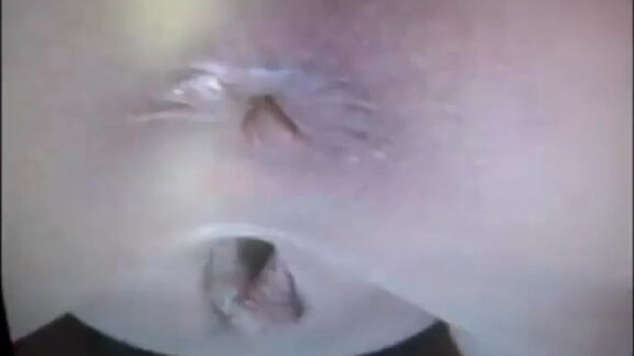 Watch these filthy women piss and scat up close and personal