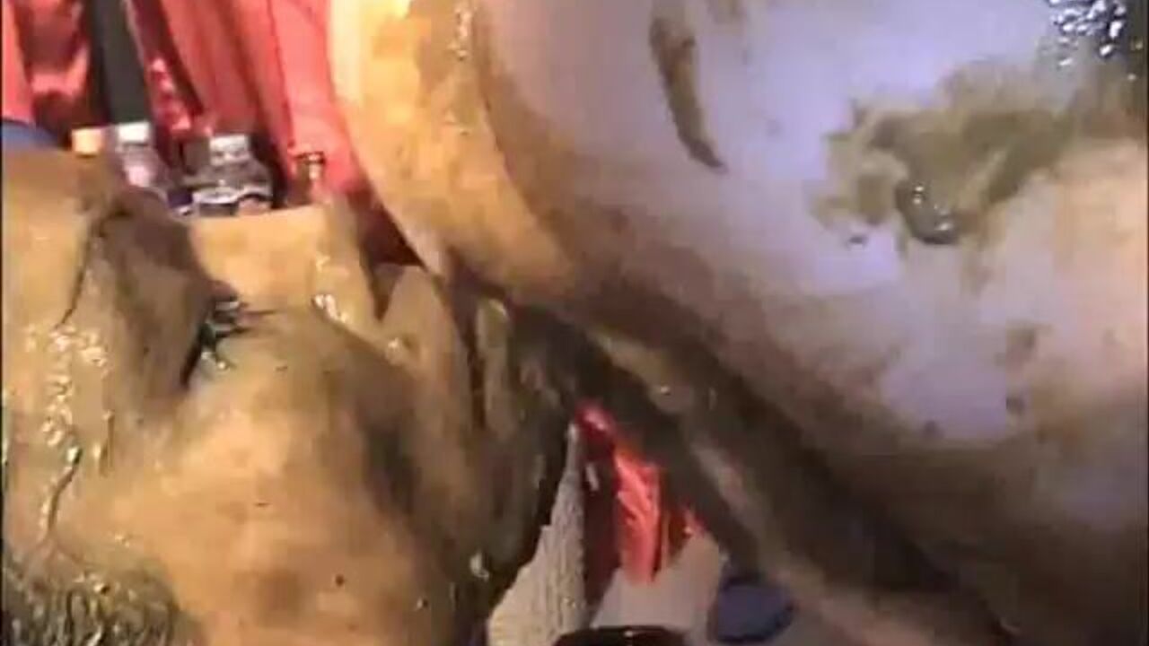 Part 10: Watch the scat porn of slutty women getting their pussies and butts drilled hard!