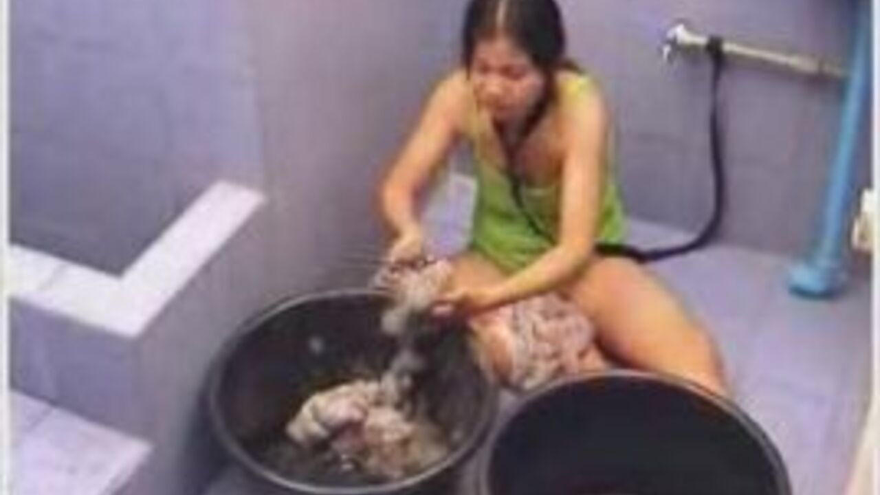 Watch scat porn with a filthy slut who craves pee and more