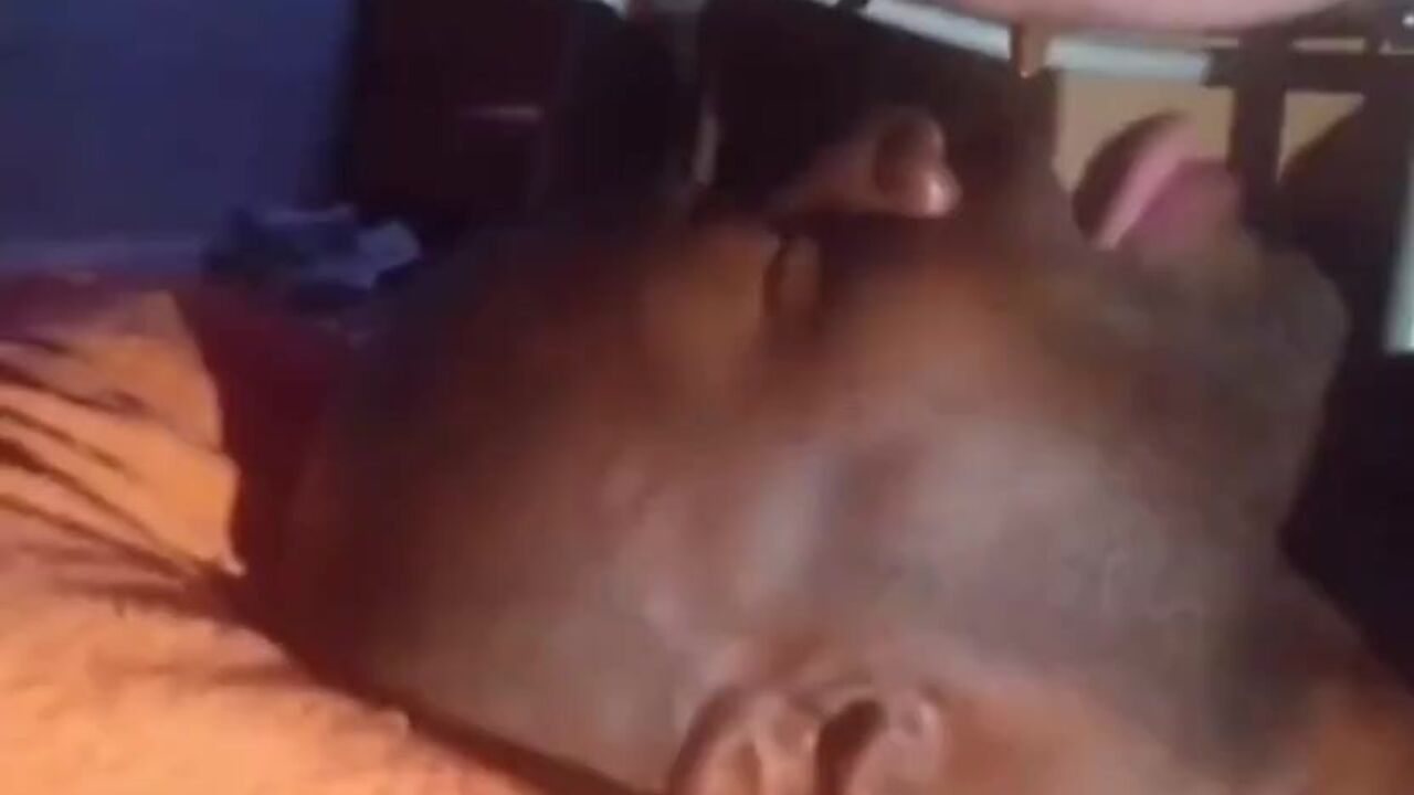 Watch this happy negro toilet-loving stud devour his own load